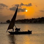 Lake Ihema boat safari with elephants and water birds in Rwanda
