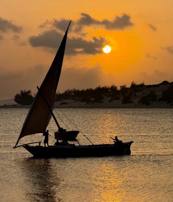 Lake Ihema boat safari with elephants and water birds in Rwanda